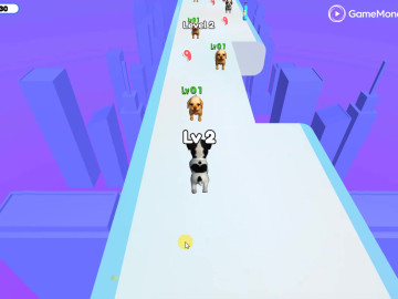 Dog Evolution Run
