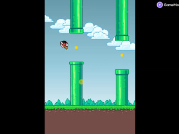 Flappy Bird Classic Pro
