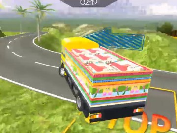 Indian Truck Driver Cargo Duty Delivery