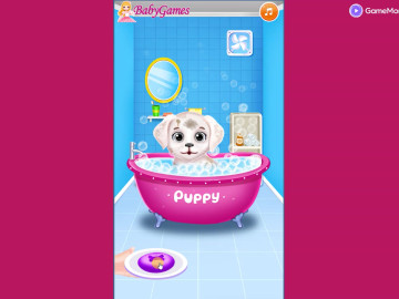 Labrador Puppy Daycare Salon