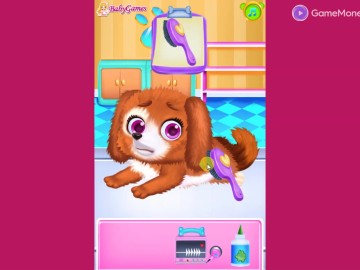 Newborn Puppy Dog Salon