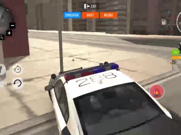Police Car Simulator